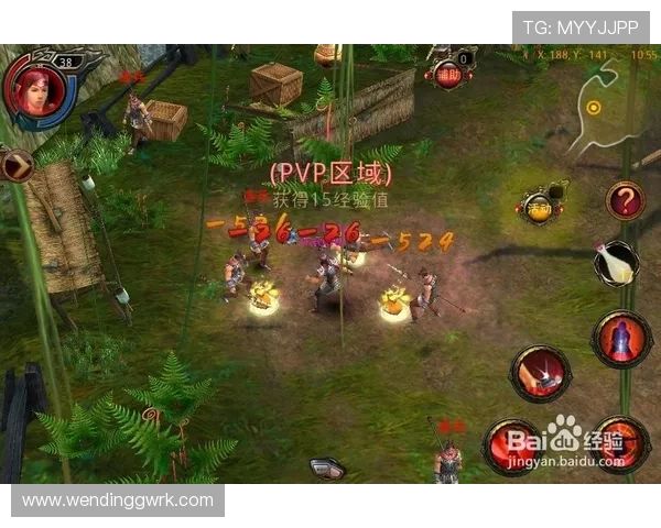 问鼎电子游戏官网：新手必看电子竞技游戏入门指南与推荐